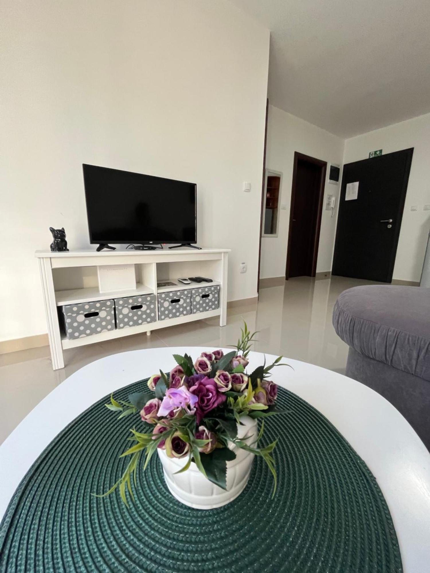 Ostrovo Apartman Miletic מראה חיצוני תמונה